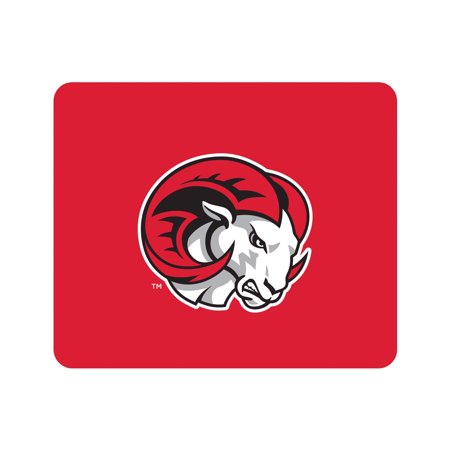 Mouse Pad, Fabric, Winston-Salem State University