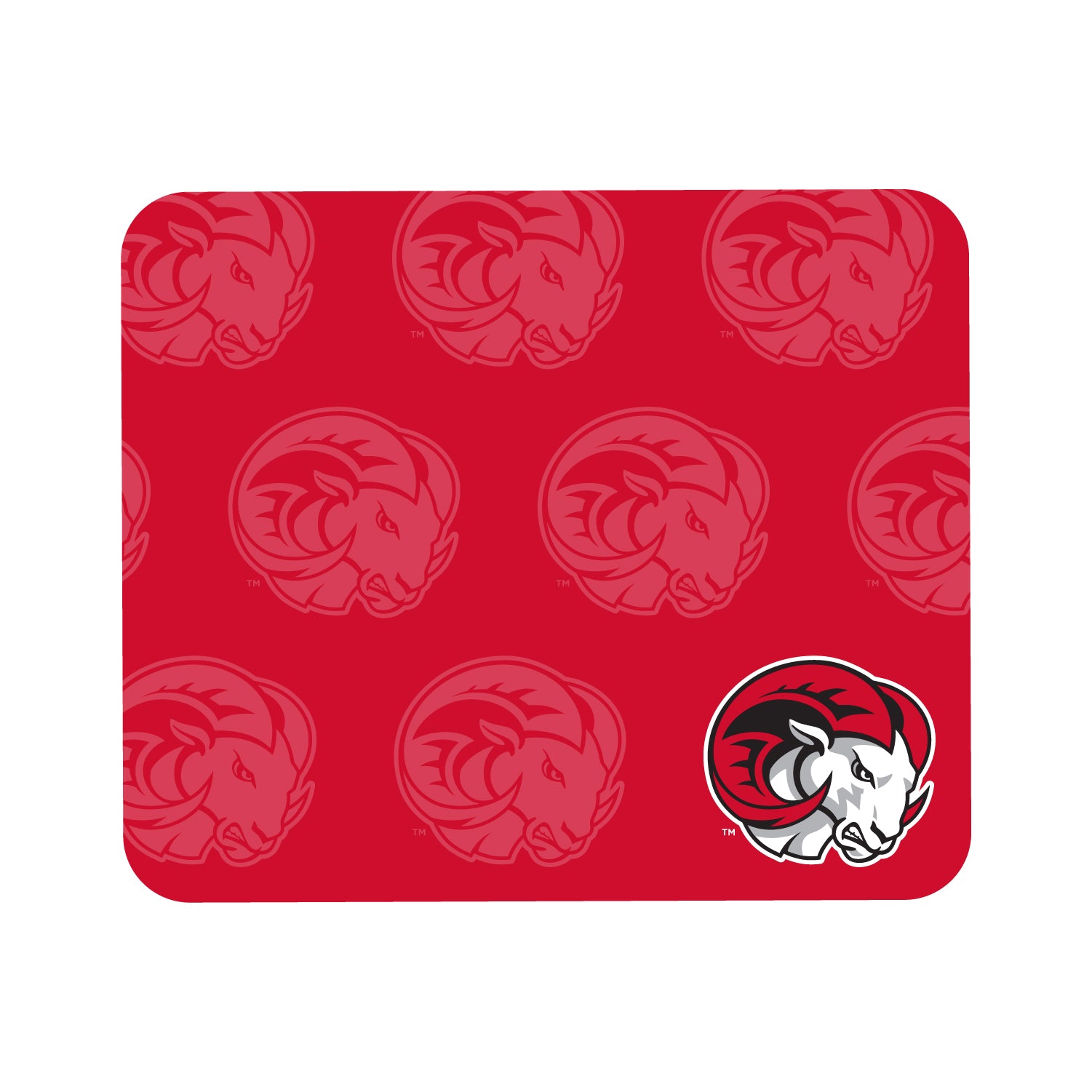 Mouse Pad, Fabric, Winston-Salem State University