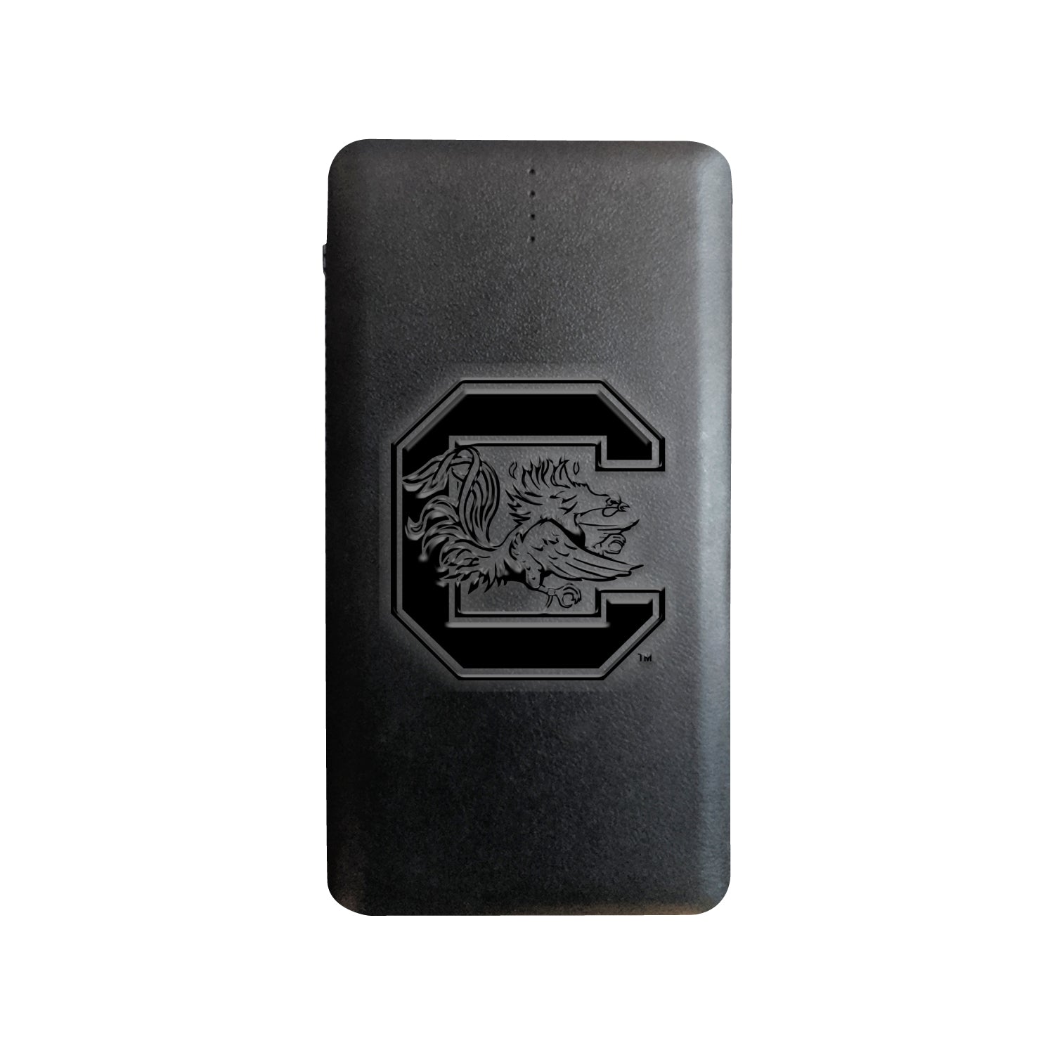 University of South Carolina Power Bank | OTM Essentials