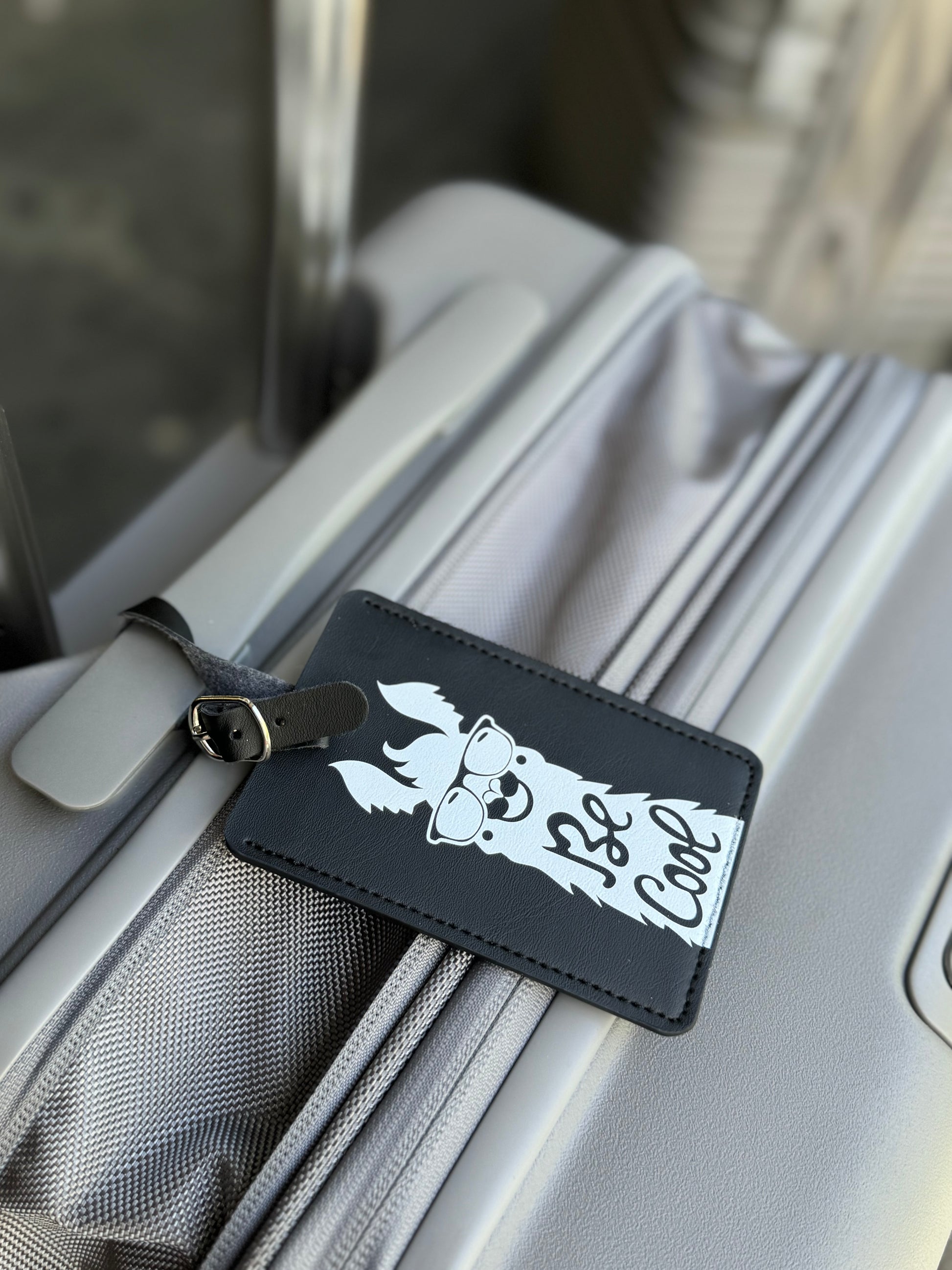 Luggage Tag, Be Cool